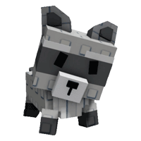 Raccoon - Divine from Night Egg